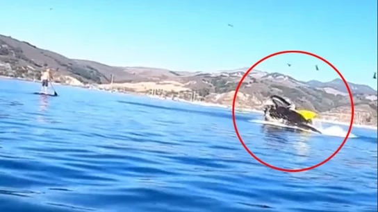Una ballena engulle a dos kayakistas Las jóvenes acabaron en el agua y resultaron ilesas