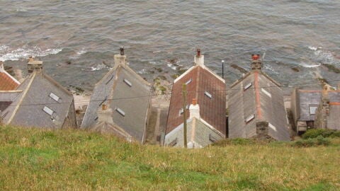 Crovie