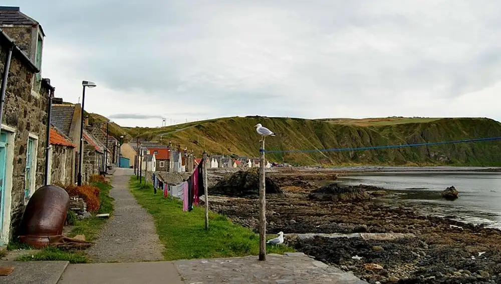 Crovie