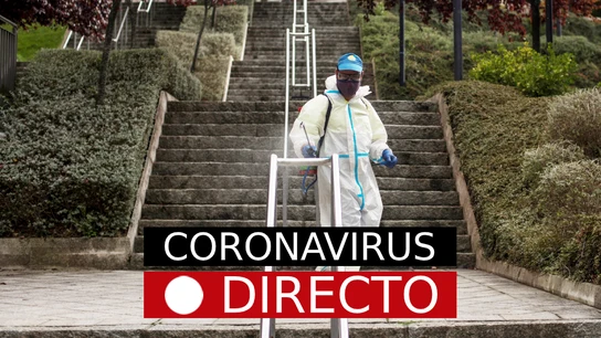 Coronavirus en España, hoy: confinamiento, estado de alarma y última hora Coronavirus en España, hoy: confinamiento, estado de alarma y última hora