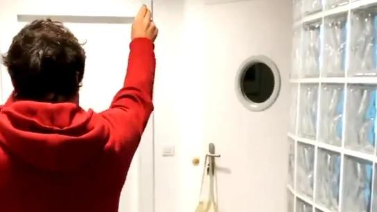 Fernando Alonso Fernando Alonso