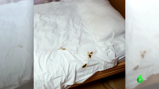 Las duras condiciones de trabajadoras en residencias intervenidas en Murcia: "Los pasillos estaban llenos de cajas de basura, heces, pis..." Las duras condiciones de trabajadoras en residencias intervenidas en Murcia: "Los pasillos estaban llenos de cajas de basura, heces, pis..."