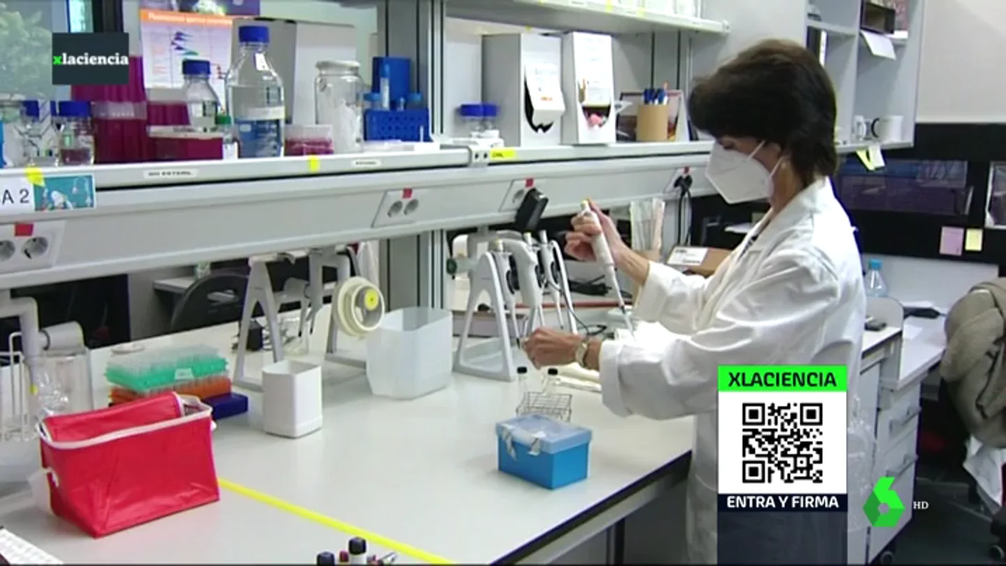 Yolanda Sanz, investigadora Yolanda Sanz, investigadora