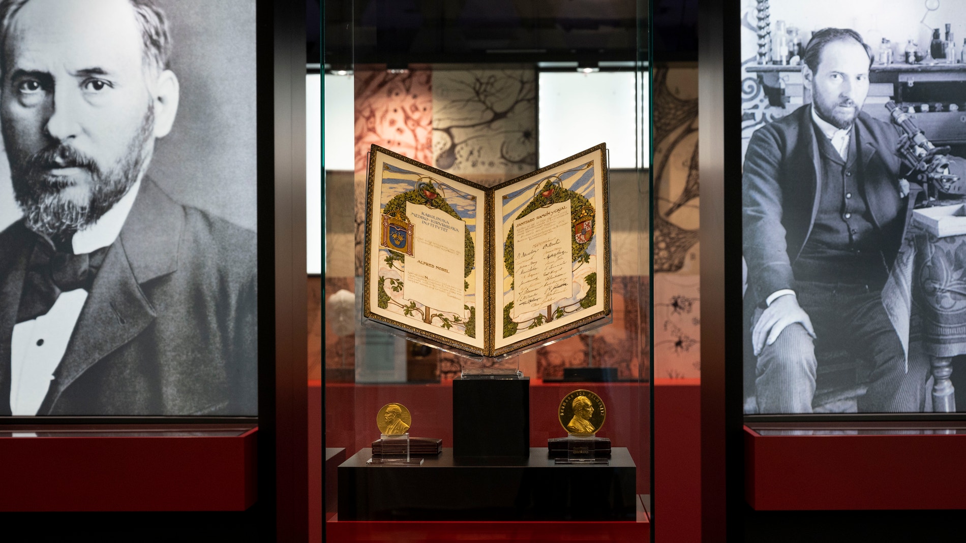 El Museo Nacional de Ciencias Naturales acoge una exposicion sobre el legado de Ramon y Cajal