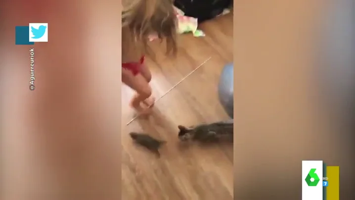 "¡Ay, no es un conejito bebé sino una rata!": la divertida reacción de una madre al ver con qué juegan su hija y su gato