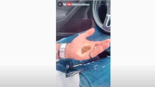 El joven condujo durante varios kilómetros usando las rodillas mientras se liaba el porro. El joven condujo durante varios kilómetros usando las rodillas mientras se liaba el porro.