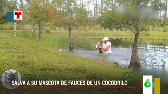 El momento viral en el que un hombre se lanza sobre un cocodrilo que intentaba comerse a su perro El momento viral en el que un hombre se lanza sobre un cocodrilo que intentaba comerse a su perro