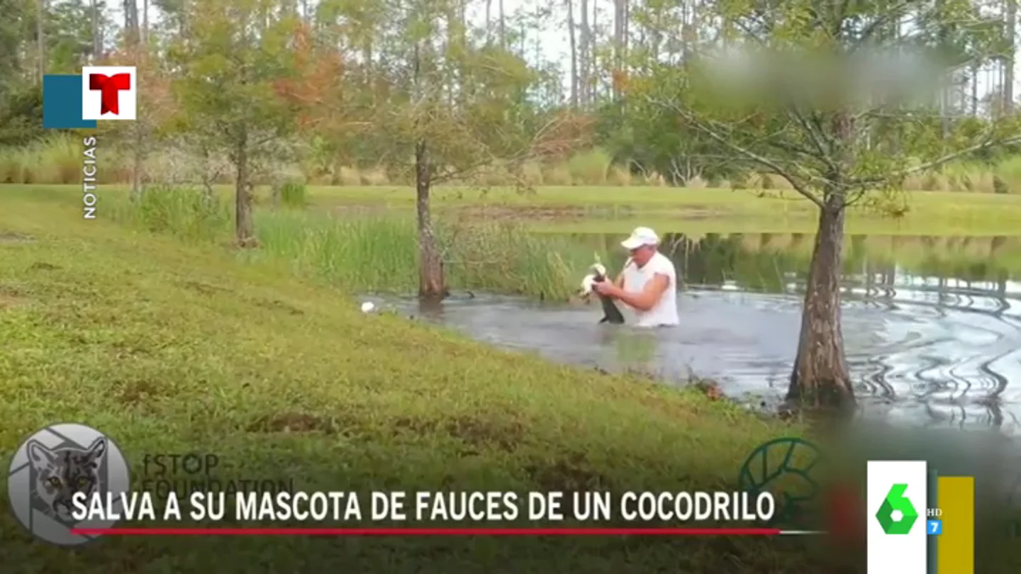 El momento viral en el que un hombre se lanza sobre un cocodrilo que intentaba comerse a su perro El momento viral en el que un hombre se lanza sobre un cocodrilo que intentaba comerse a su perro