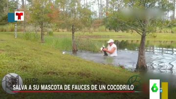 El momento viral en el que un hombre se lanza sobre un cocodrilo que intentaba comerse a su perro