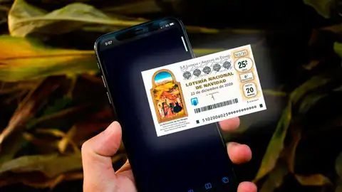 Lotería de Navidad Lotería de Navidad