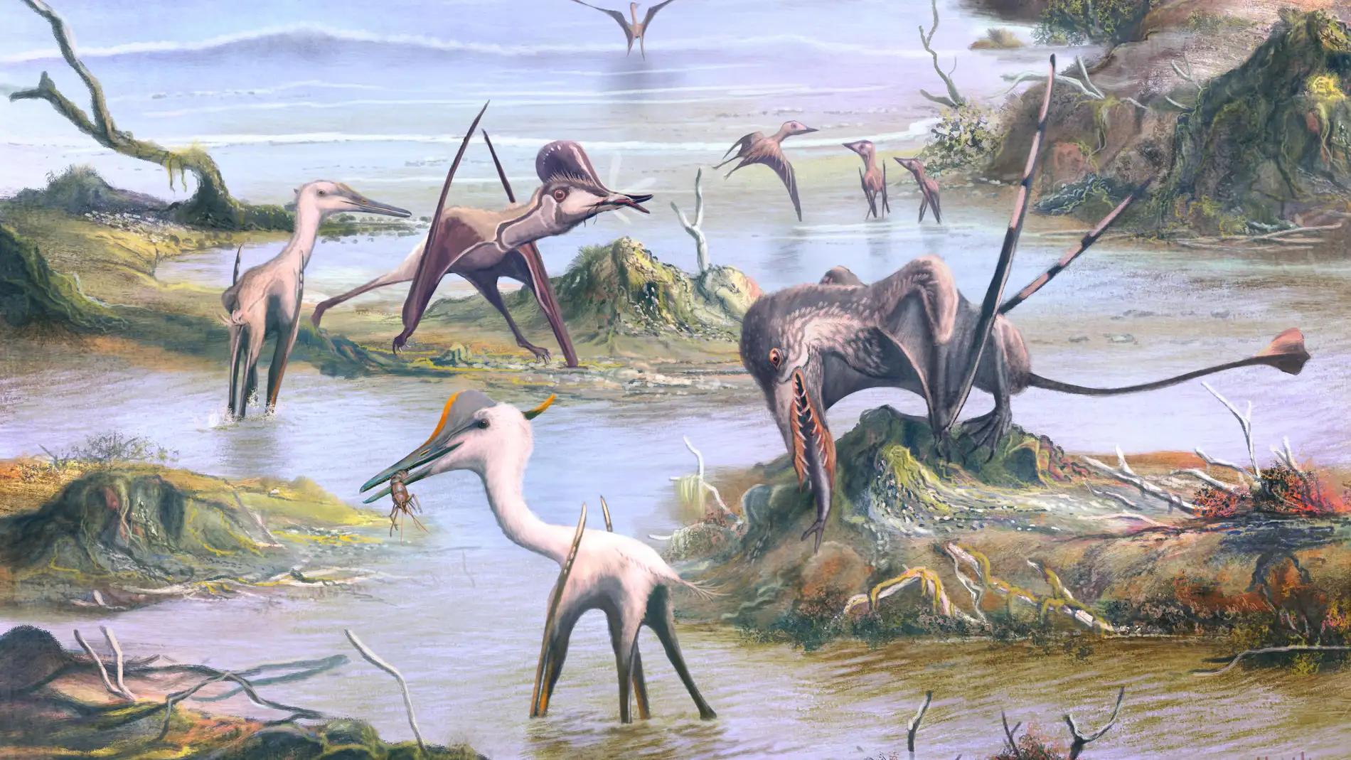 Desvelan nuevos secretos de los pterosaurios que comian y como empezaron a volar