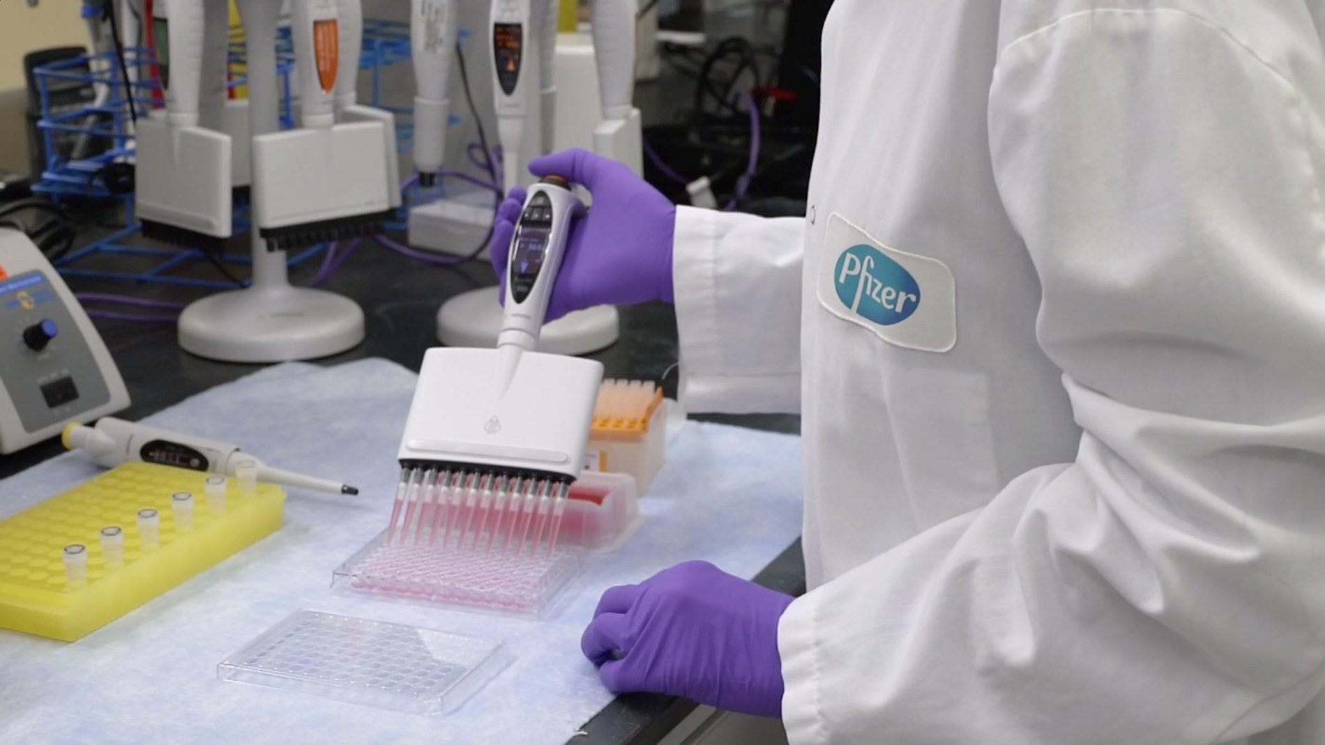 Datos preliminares apuntan a una eficacia del 90 de la vacuna de Pfizer contra la covid 19
