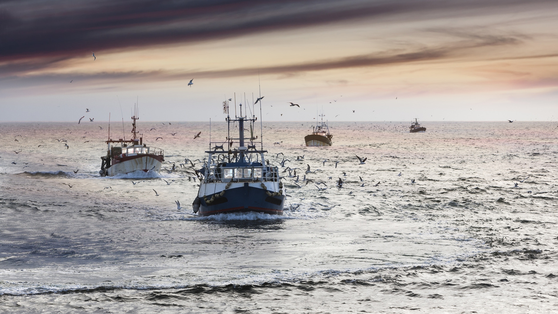 La pesca podria aliviar una emergencia alimentaria mundial en casos extremos