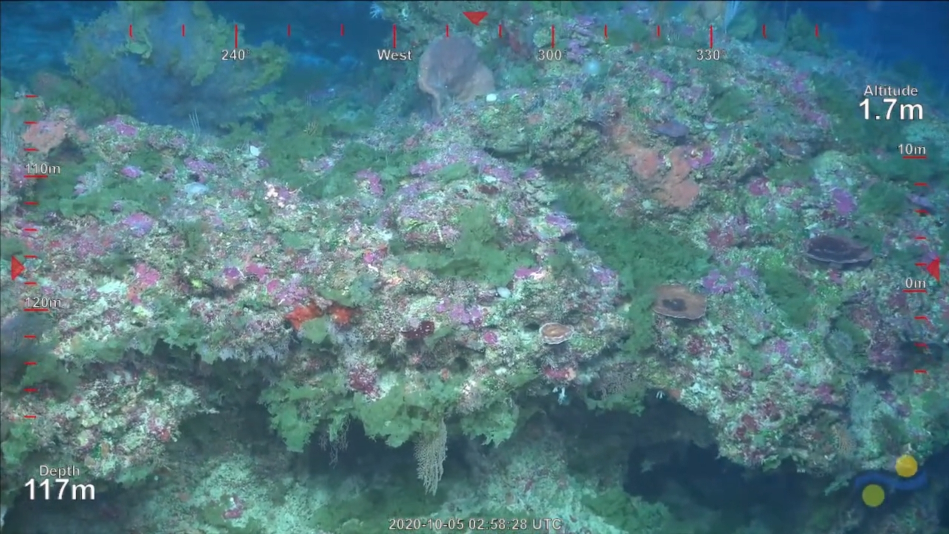 Descubierto un nuevo arrecife de coral en la Gran Barrera de Australia el primero en 120 anos