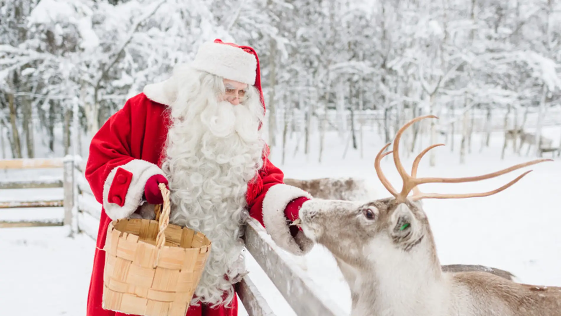 Increíble Elevado taquigrafía Papá Noel te espera en Finlandia, puedes visitarlo aunque solo sea  virtualmente