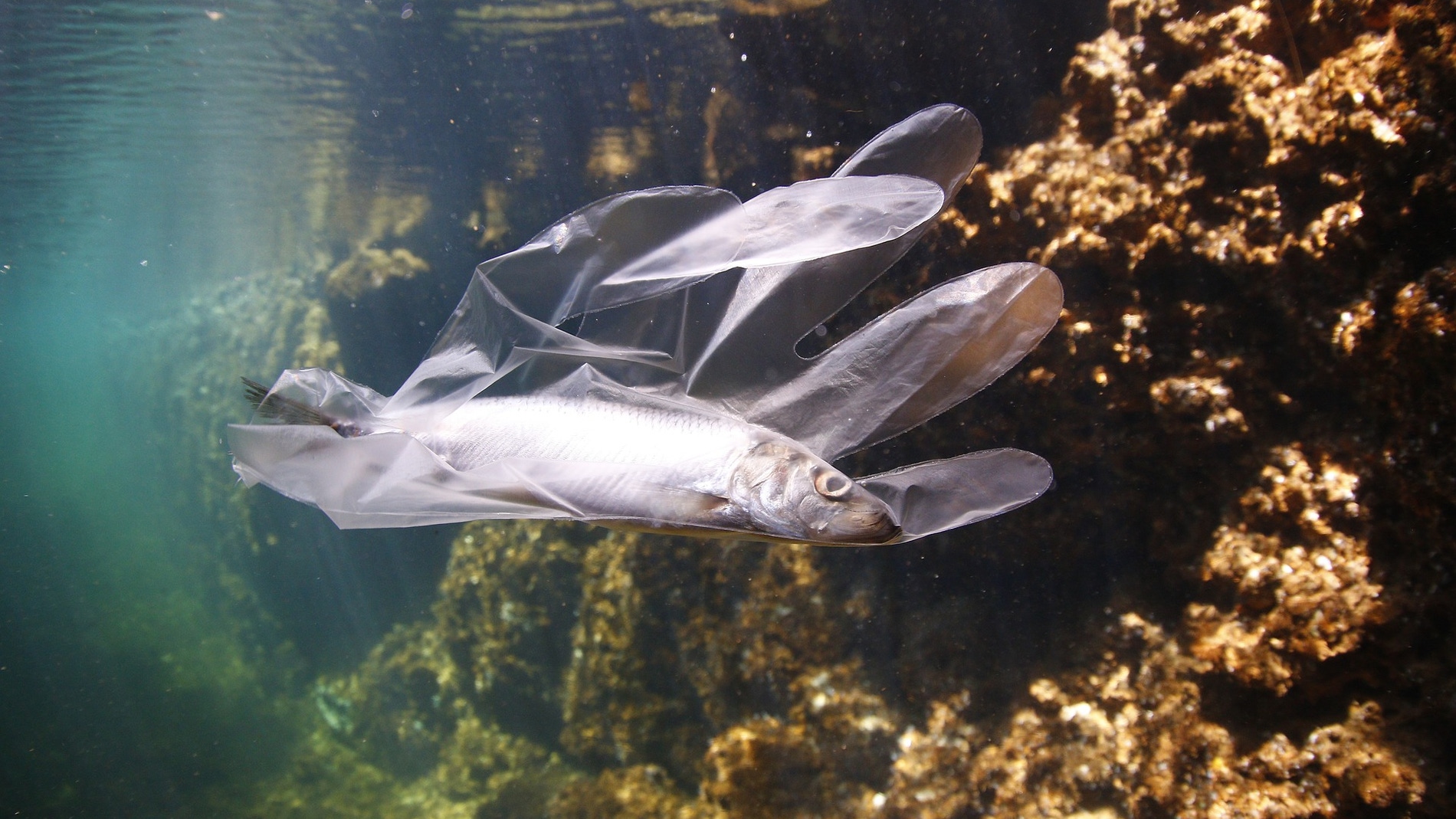 Mas de 200.000 toneladas de plastico se vierten al Mediterraneo cada ano