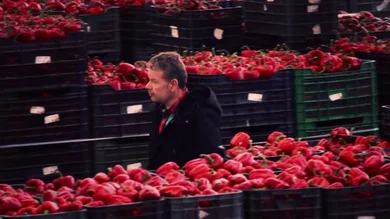 Alberto Chicote investiga 'El fraude de el reetiquetado', un problema por el que "nos vamos a cargar el sector primario del país" Alberto Chicote investiga 'El fraude de el reetiquetado', un problema por el que "nos vamos a cargar el sector primario del país"