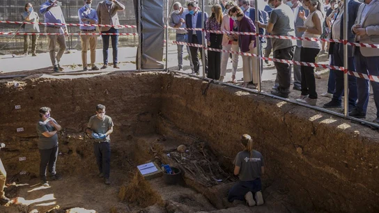 Trabajos de exhumación en la fosa común de Pico Reja, en Sevilla Trabajos de exhumación en la fosa común de Pico Reja, en Sevilla