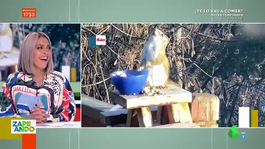 El divertido dardo de Cristina Pedroche a Lorena Castell tras ver el vídeo viral de la "ardilla borracha" El divertido dardo de Cristina Pedroche a Lorena Castell tras ver el vídeo viral de la "ardilla borracha"