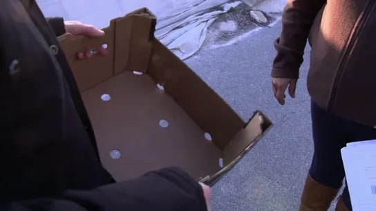 Habla una agricultora víctima del reetiquetado: "Usaron producto marroquí en mi nombre y yo sin saberlo" Habla una agricultora víctima del reetiquetado: "Usaron producto marroquí en mi nombre y yo sin saberlo"