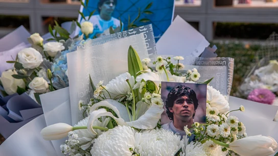 Flores en recuerdo de Diego Armando Maradona Flores en recuerdo de Diego Armando Maradona