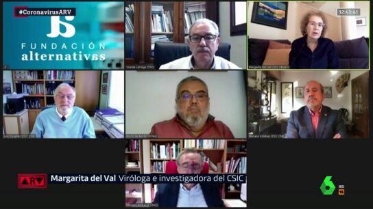 Margarita del Val (CSIC) junto al resto de expertos