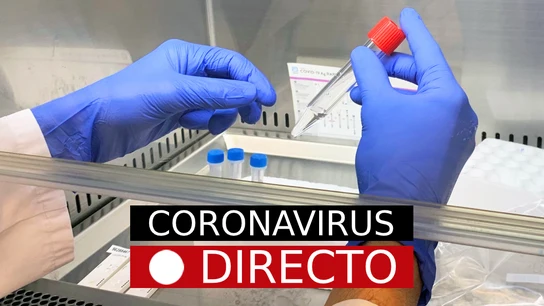 Coronavirus España | Últimas noticias de las medidas de Navidad y el plan de vacunación Coronavirus España | Últimas noticias de las medidas de Navidad y el plan de vacunación
