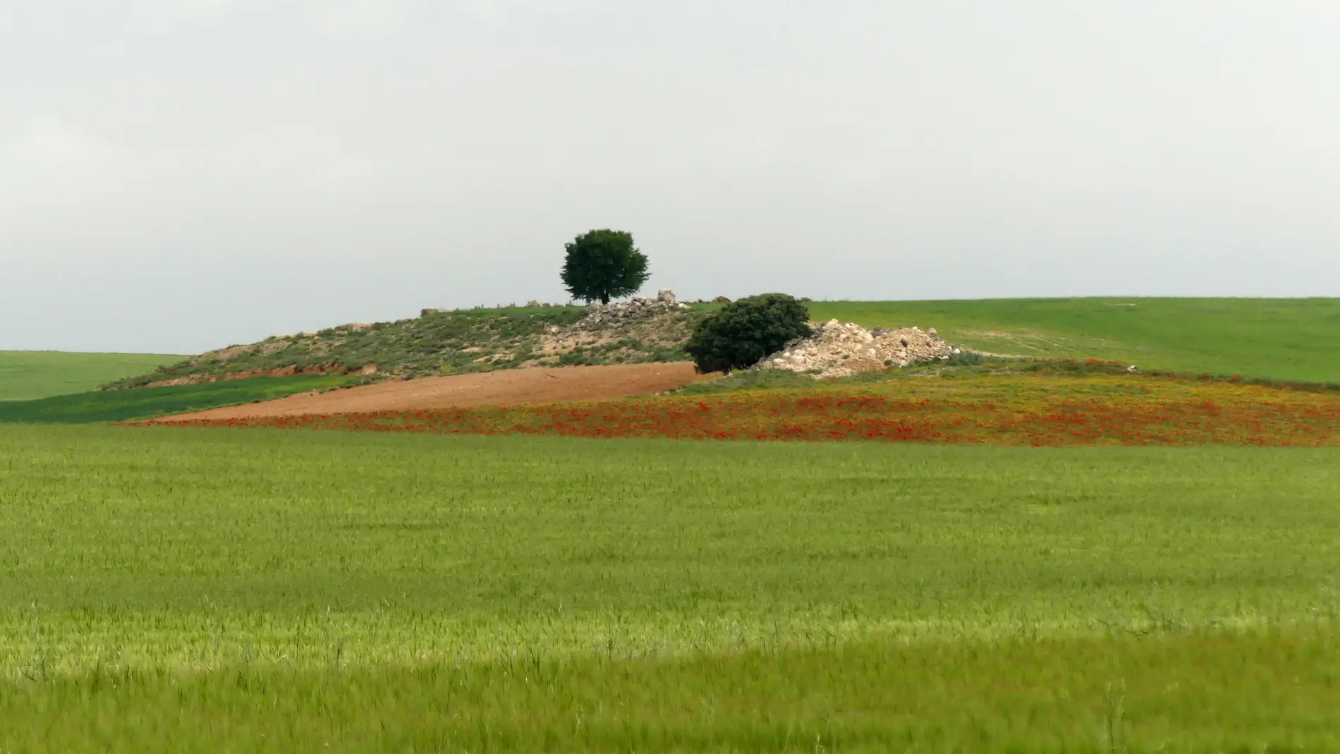 Mas de 3.600 cientificos proponen medidas para mejorar la Politica Agraria Comun de la UE