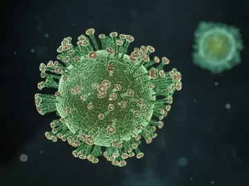 Virus Virus