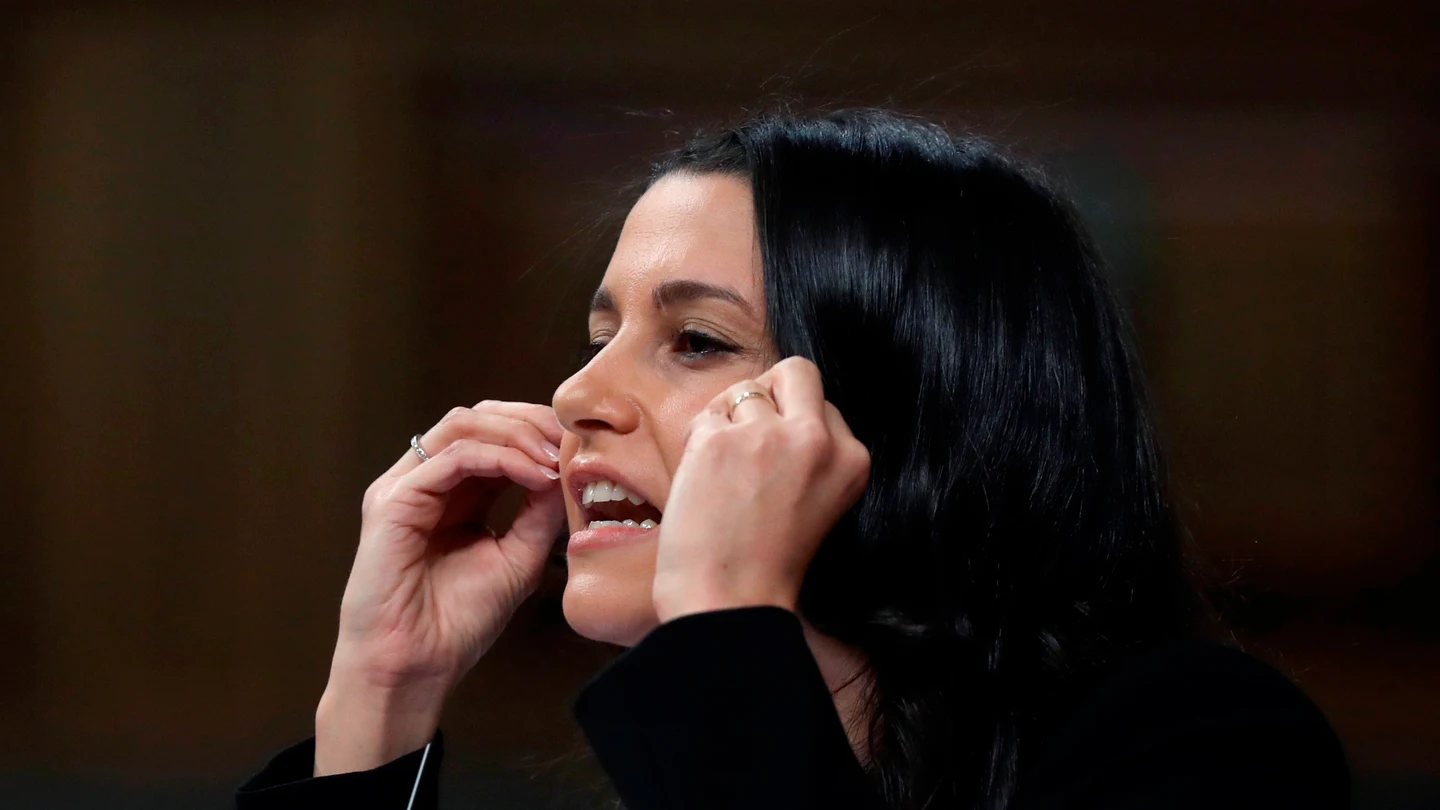La líder de Ciudadanos, Inés Arrimadas, durante un pleno del Congreso La líder de Ciudadanos, Inés Arrimadas, durante un pleno del Congreso