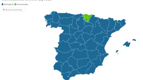 Consultas las movilizaciones contra la 'Ley Cela&aacute;' del 20 de diciembre