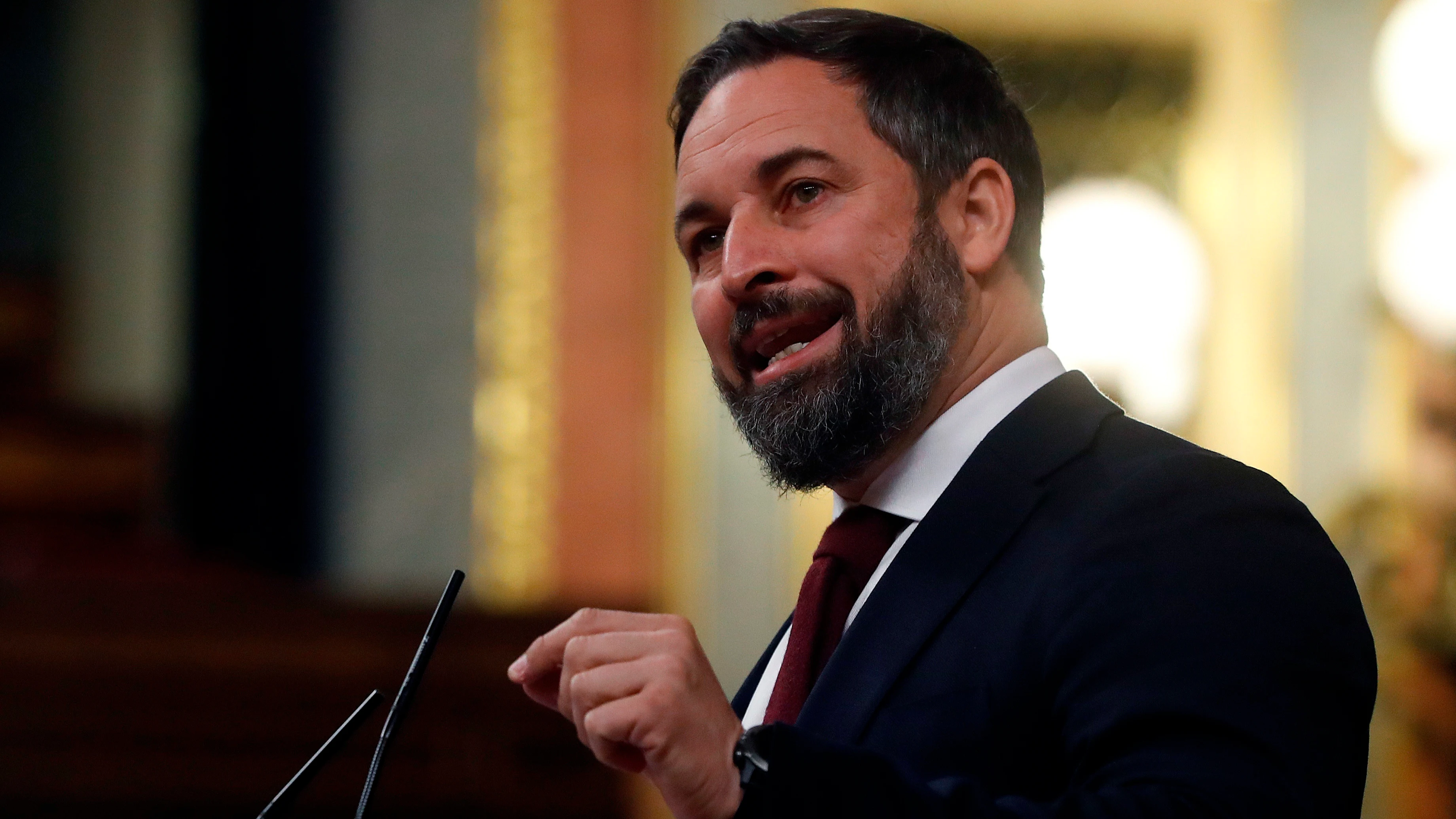 Santiago Abascal, en el Congreso de los Diputados