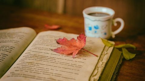 Leer en Navidad, una costumbre islandesa