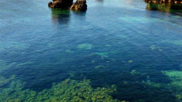 Canal d'en Martí Beach