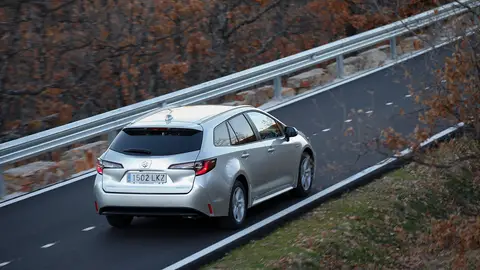 Suzuki Swace Suzuki Swace