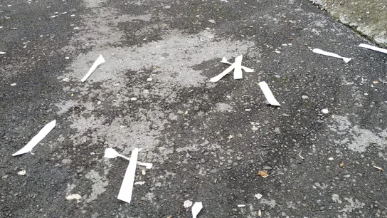 Un vándalo roba pruebas PCR y las arroja a la calle Un vándalo roba pruebas PCR y las arroja a la calle