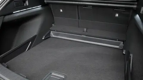 Suzuki Swace Suzuki Swace