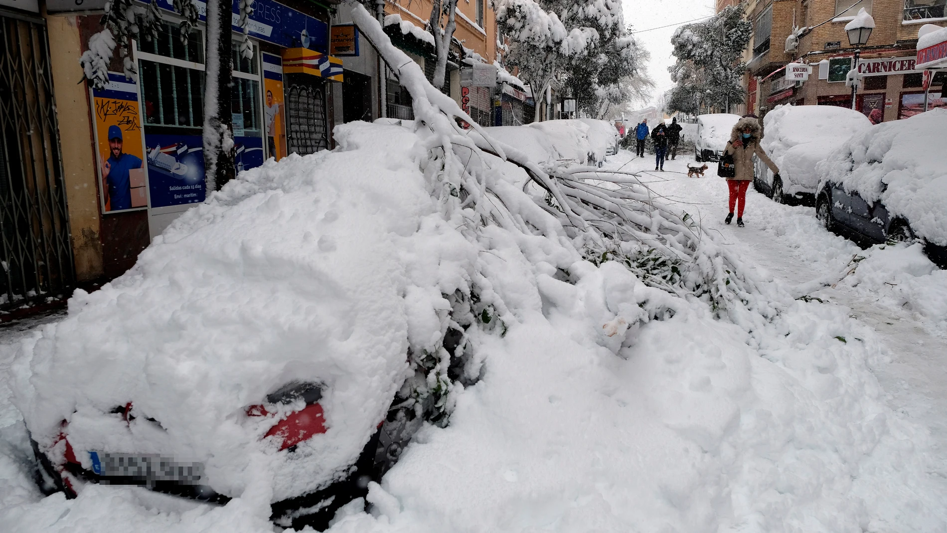 Una rama cae sobre un coche en el barrio madrileño de Urgel, Carabanchel, calle Camino Viejo de Leganés