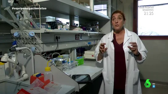 Montoya, investigadora del CSIC Montoya, investigadora del CSIC