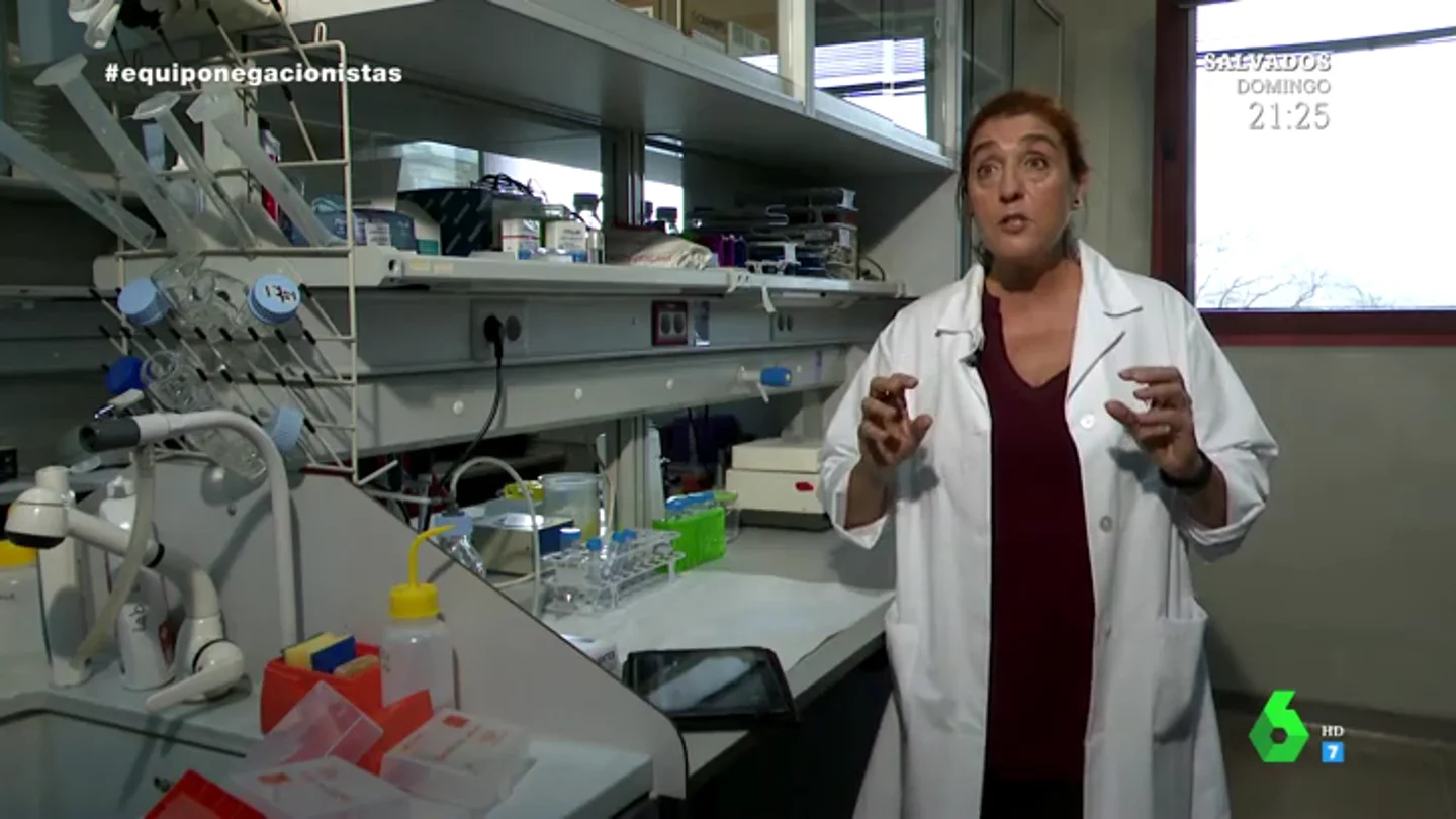 Montoya, investigadora del CSIC Montoya, investigadora del CSIC