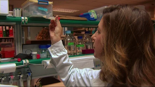 Los científicos elevan a España a los cielos del progreso Los científicos elevan a España a los cielos del progreso