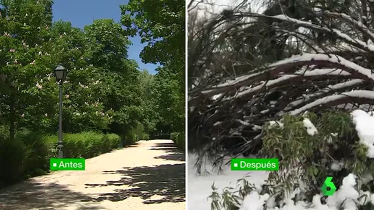 Imagen del Parque del Retiro antes y después de la llegada de Filomena Imagen del Parque del Retiro antes y después de la llegada de Filomena