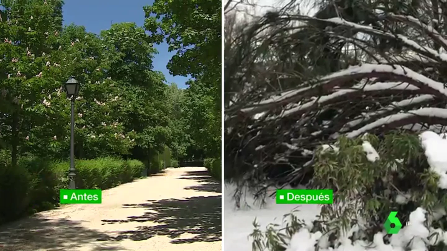 Imagen del Parque del Retiro antes y después de la llegada de Filomena Imagen del Parque del Retiro antes y después de la llegada de Filomena