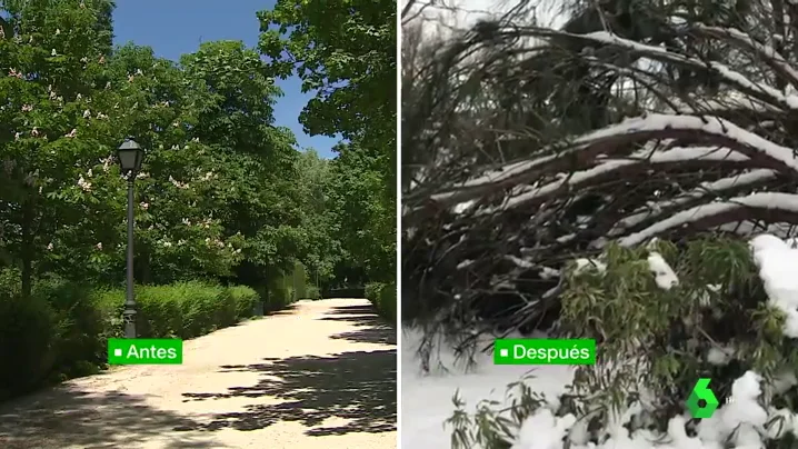 Imagen del Parque del Retiro antes y después de la llegada de Filomena