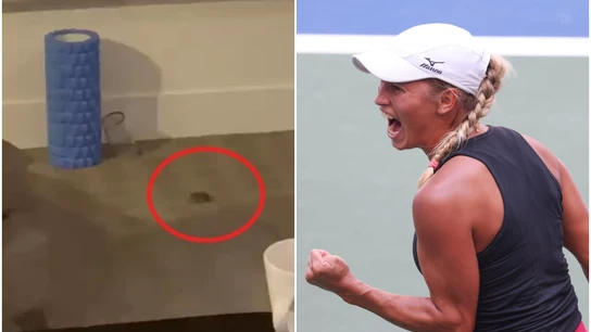 Un ratón se cuela en la habitación de Putintseva Un ratón se cuela en la habitación de Putintseva