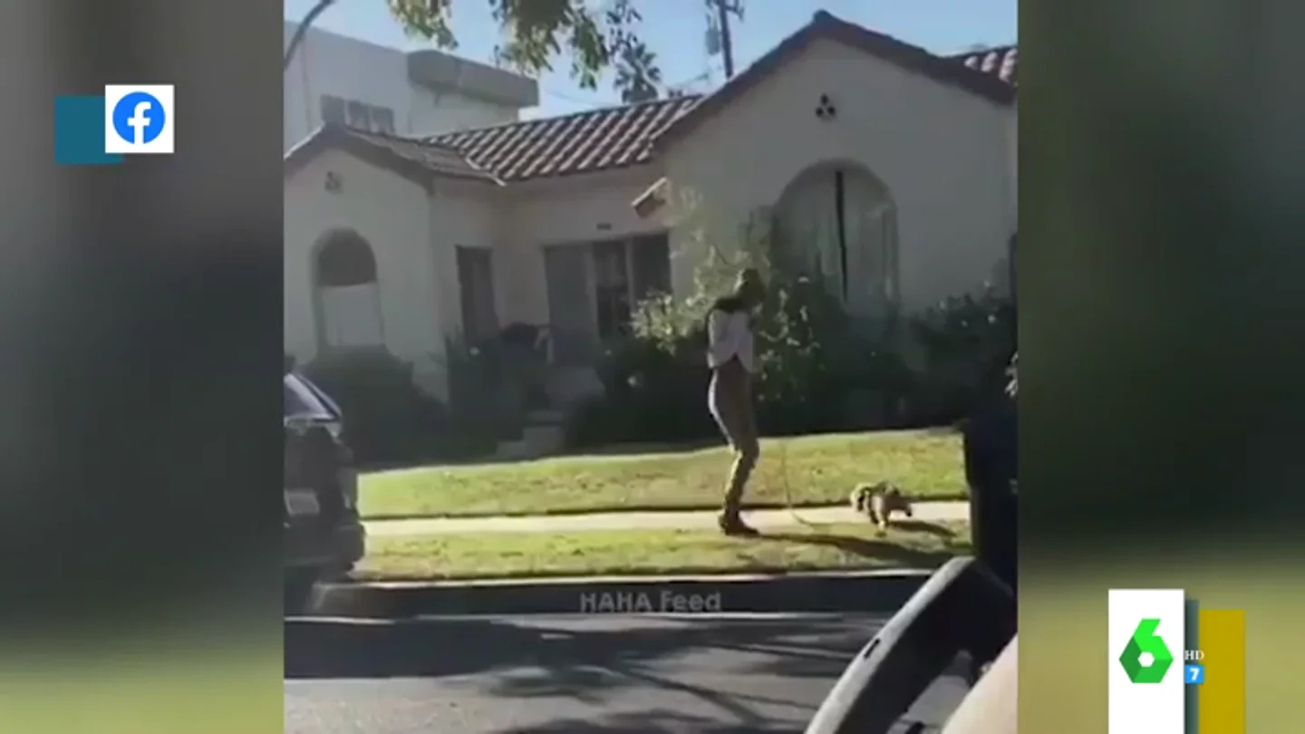 El impactante momento en el que una joven usa su mascarilla para recoger la caca de su perro y se la vuelve a poner El impactante momento en el que una joven usa su mascarilla para recoger la caca de su perro y se la vuelve a poner