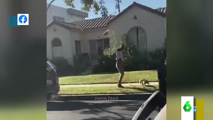 El impactante momento en el que una joven usa su mascarilla para recoger la caca de su perro y se la vuelve a poner