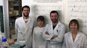 Demostrada la capacidad terapeutica de las vacunas de tuberculosis frente al asma en ratones