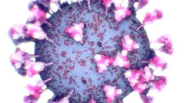 Primera imágenes reales del COVID-19: así se ve el coronavirus en 3D