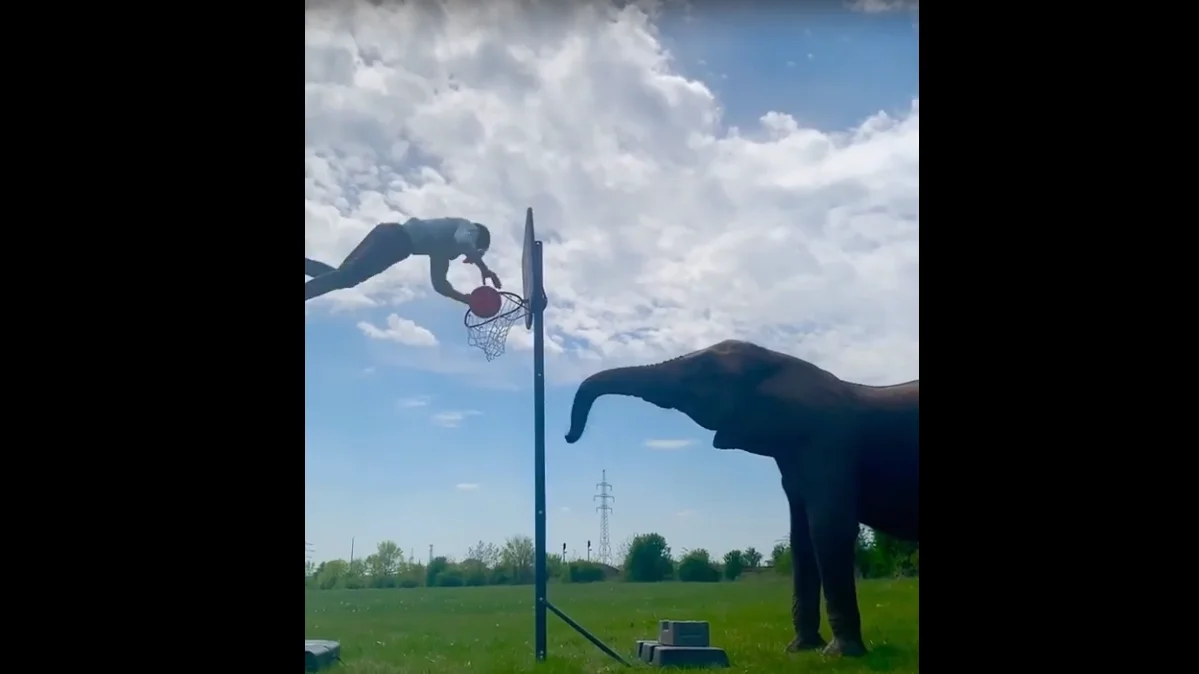 Rene Casselly, atleta alemán que hace acrobacias con elefantes